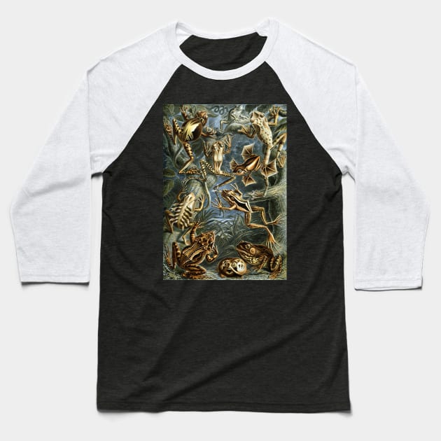 Batrachia by Ernst Haeckel Baseball T-Shirt by MasterpieceCafe